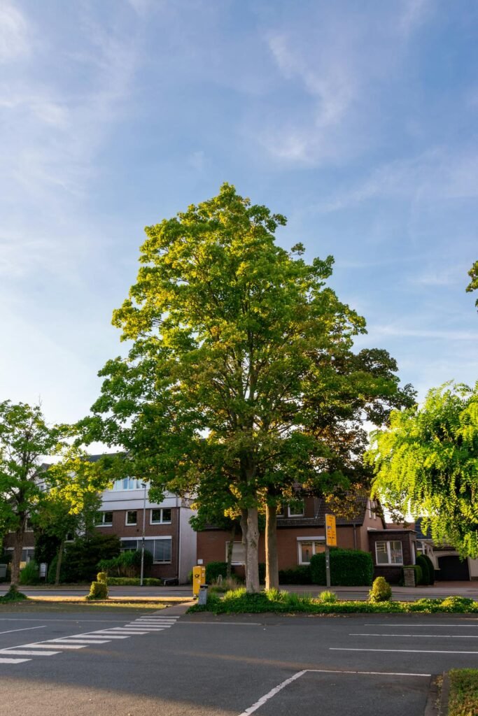 Knowing More About Vitamin D